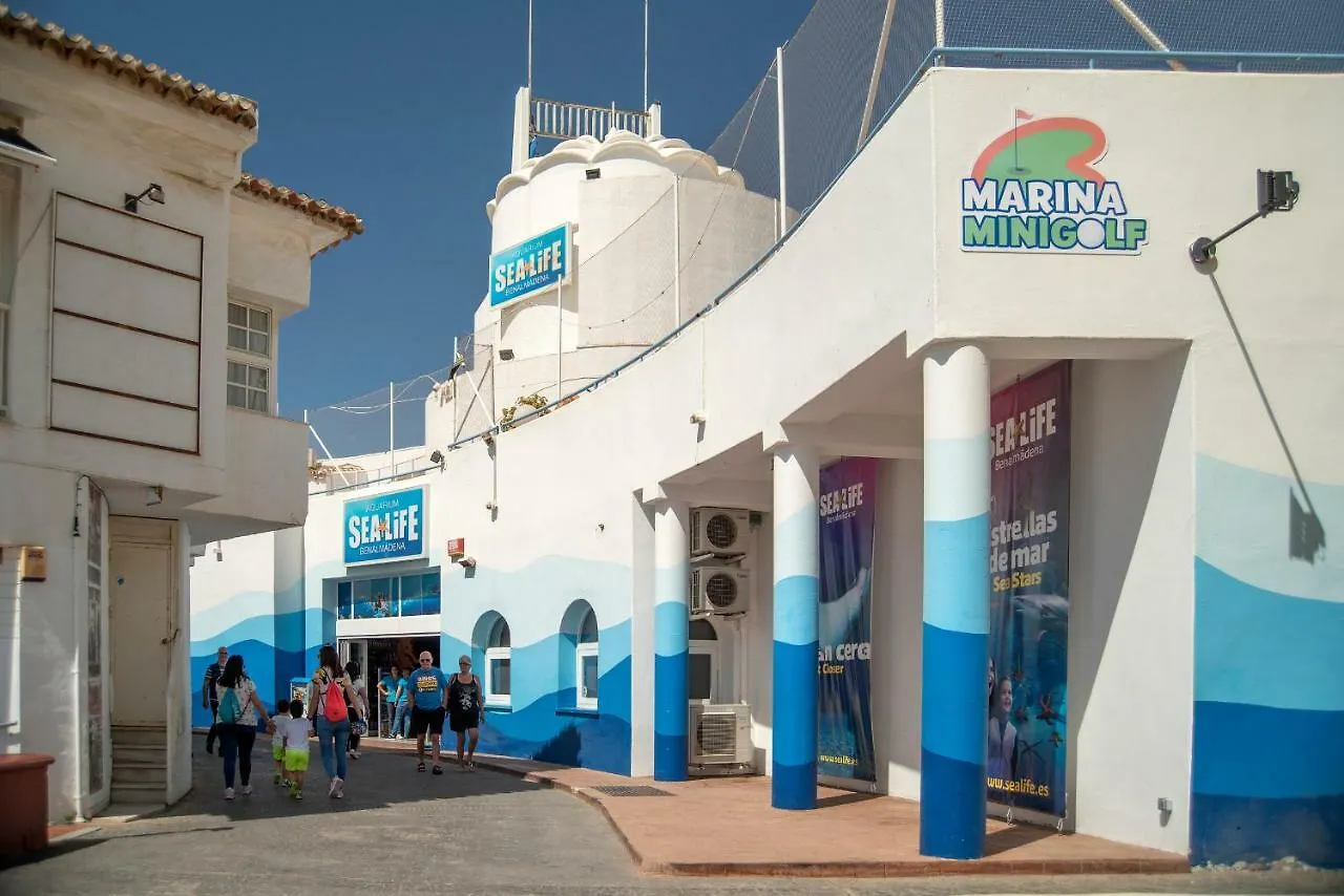 Aloha 804 Apartment Benalmadena Spain